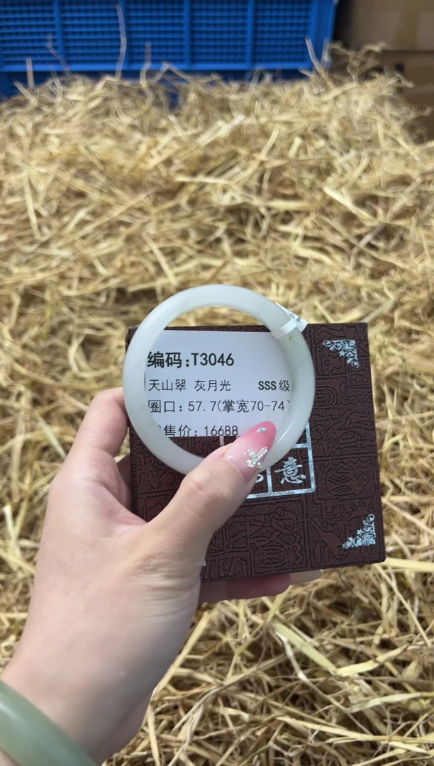 未镶嵌手镯石英质玉T3046