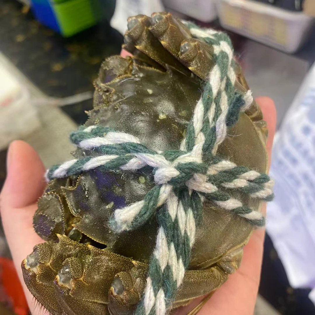 2.5两母江苏大闸蟹5只