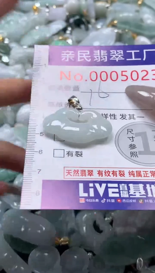 颈饰未镶嵌翡翠5023