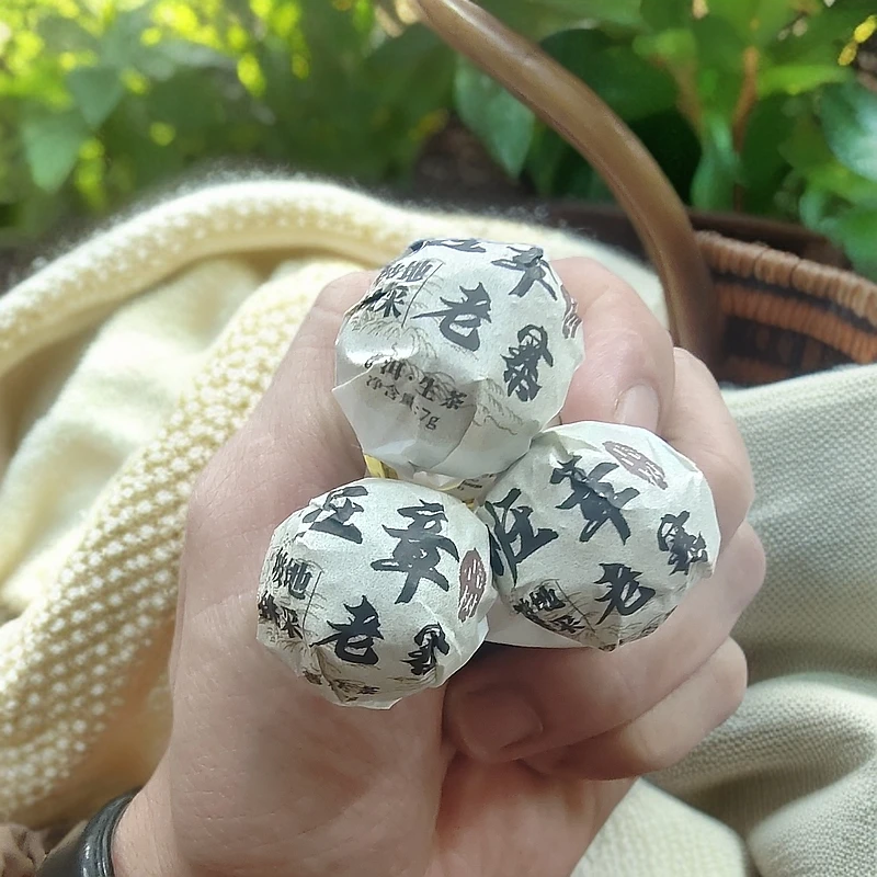 2023年班章老寨坡地挑采古树挑采普洱生茶龙珠 c6号