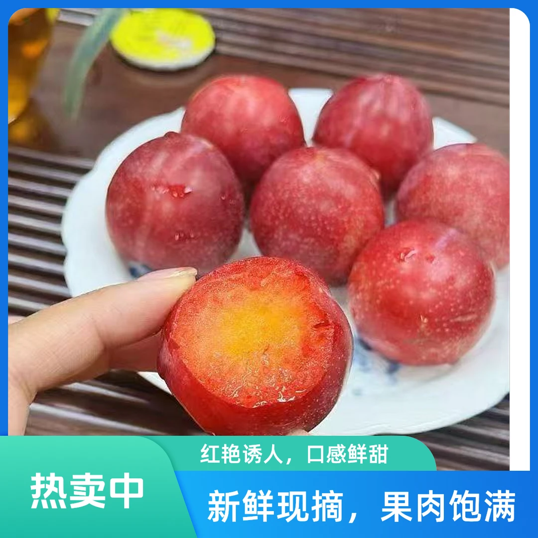 吉制4J樱桃李-双重口感-29.9 斤