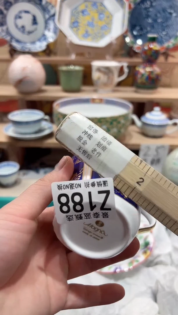 【闪购商品】瓷片当天凑满25米包邮Z188