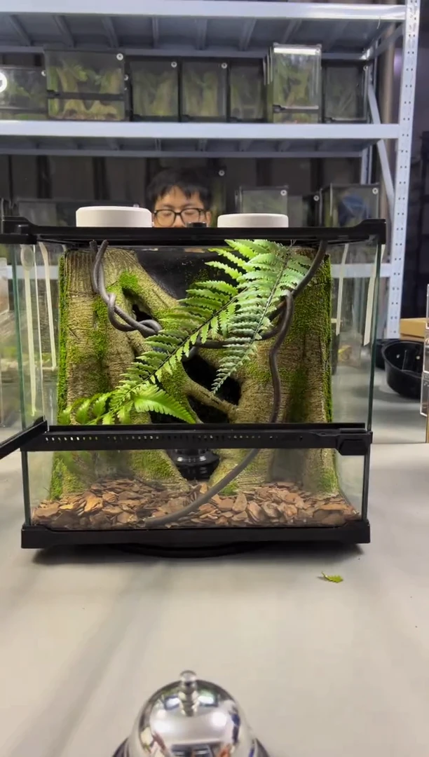 玻璃【长30宽25高27】爬宠造景缸睫角守宫树栖蜘蛛饲养箱爬宠爬虫缸