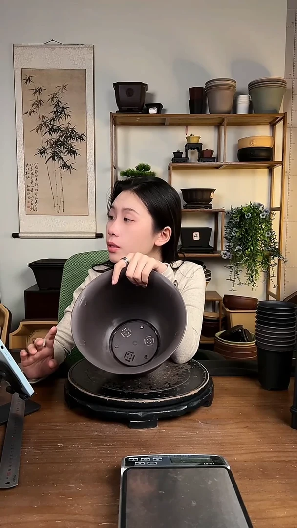 23金钟4只随机颜色