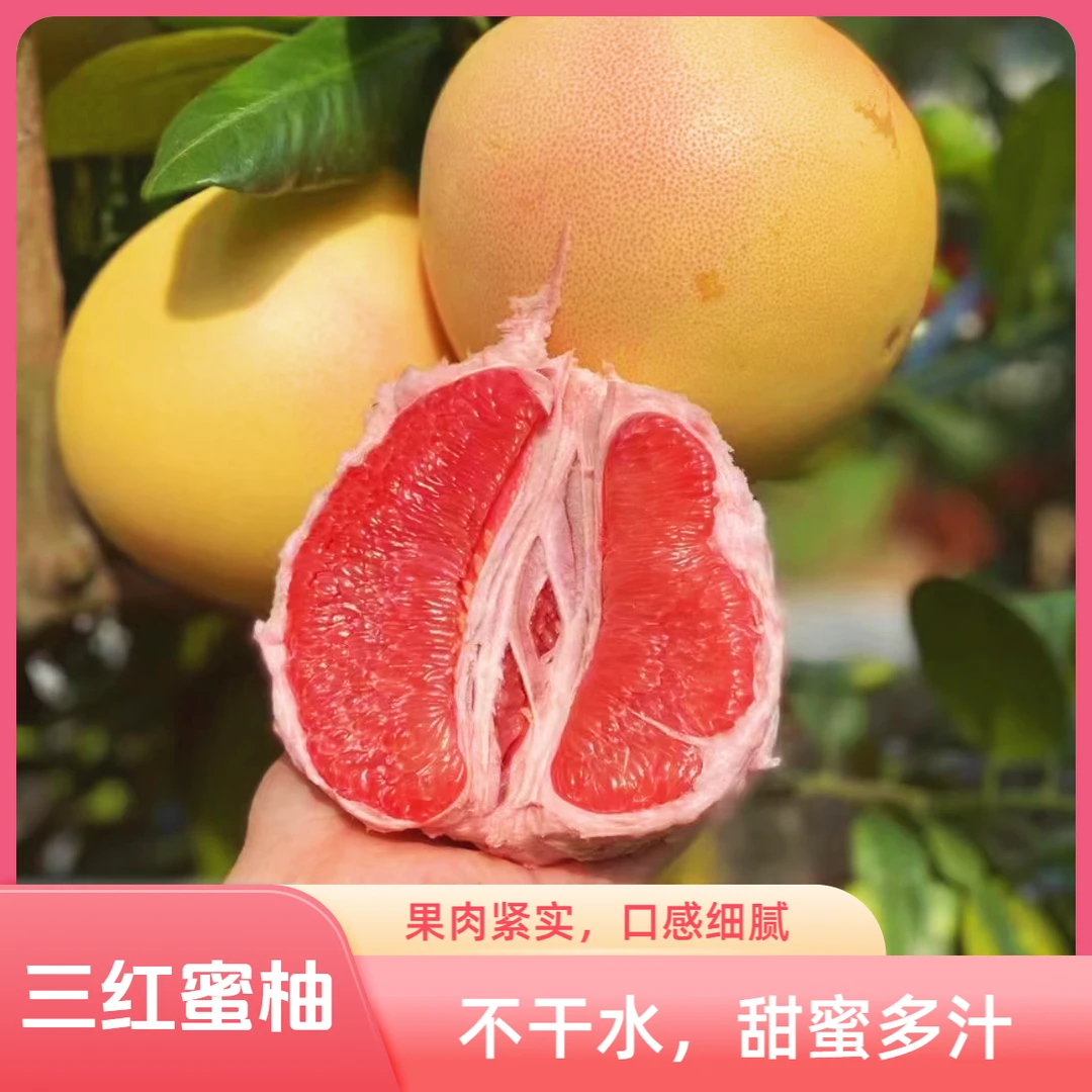 平和红心蜜柚漳州大柚子大果脆甜爆汁孕妈孕妇老少皆宜水果甜蜜