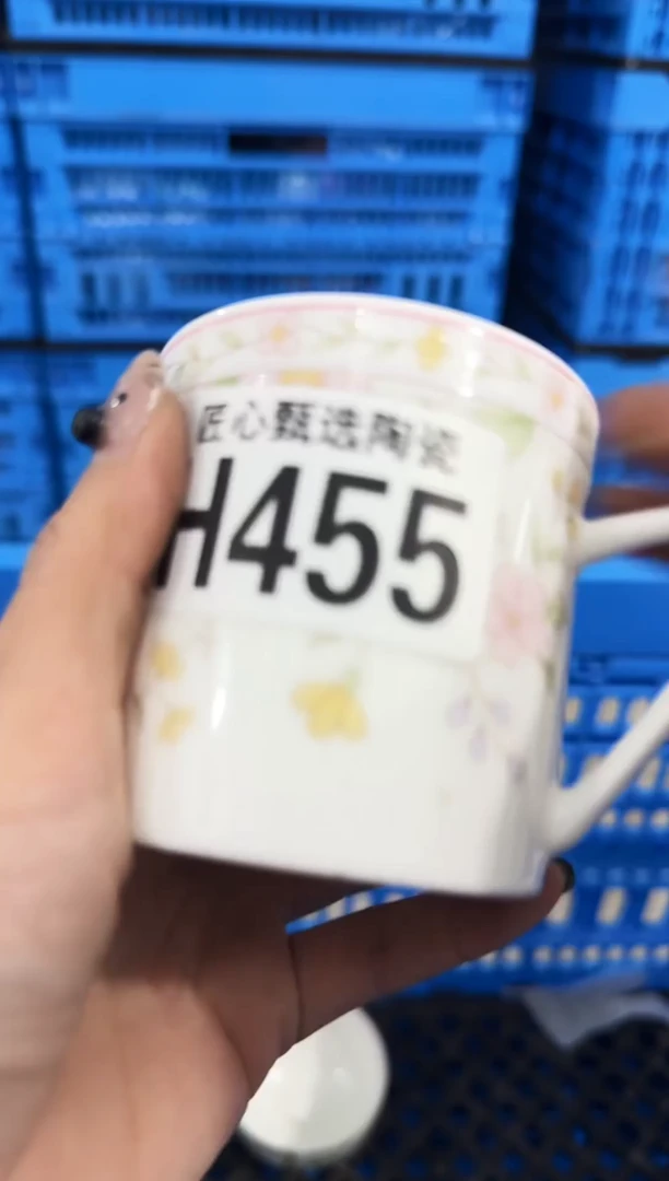 瓷片超****坏         H455