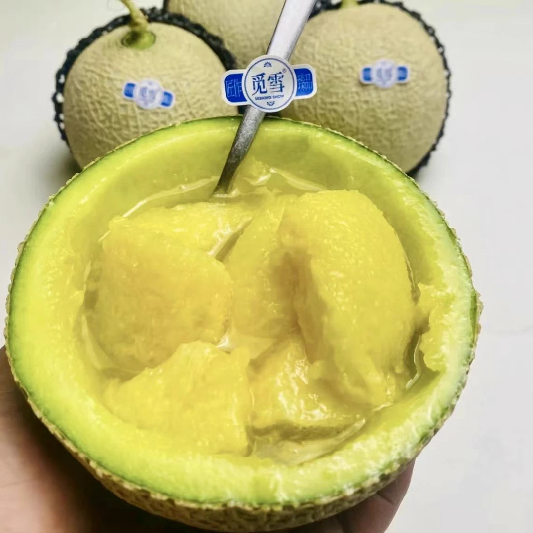日本品种玫珑蜜瓜静冈1颗大果觅雪网纹瓜哈密瓜甜蜜瓜新鲜水果