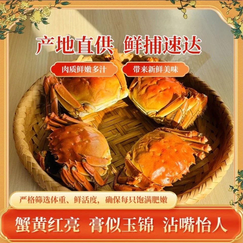 【活蟹】盘锦稻田蟹 盘锦河蟹 母蟹净重3斤(2-1.6两)鲜活到家 (20-18只)盘锦稻田蟹[顺丰包邮·明达日]
