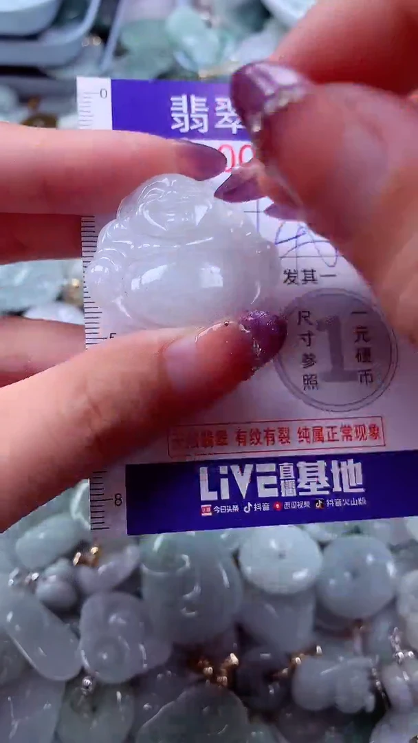 翡翠未镶嵌吊坠(不含链)9966