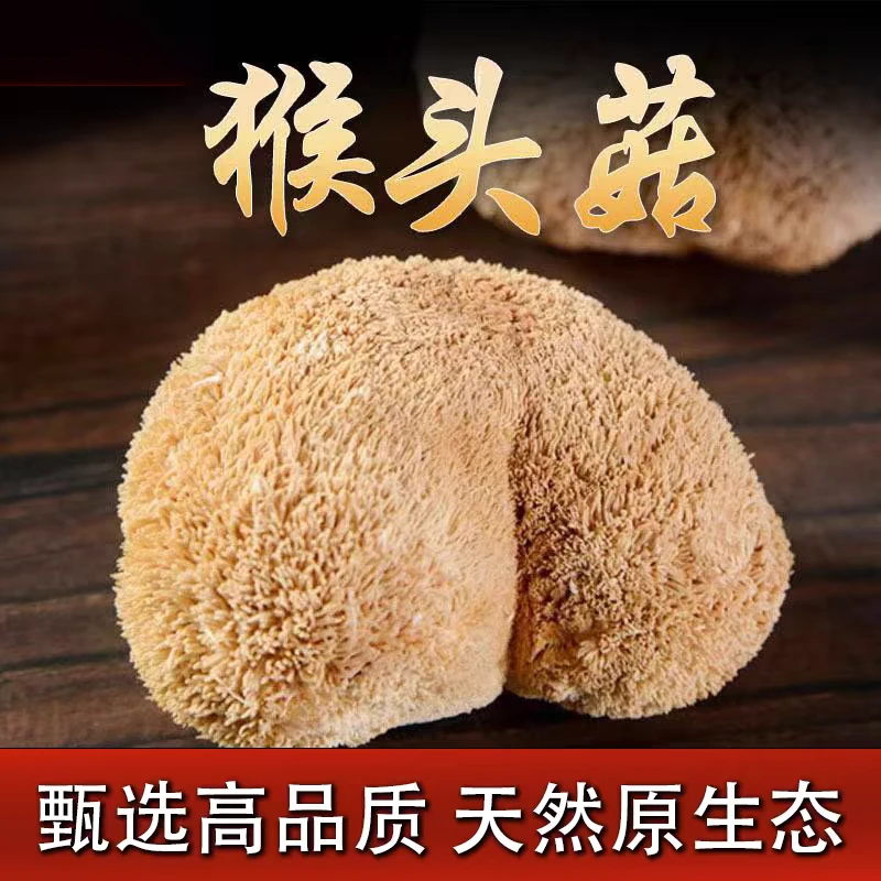 农家猴头菇干货菇菌干货种植特产新货食用菌营养炒菜煲汤排骨250g