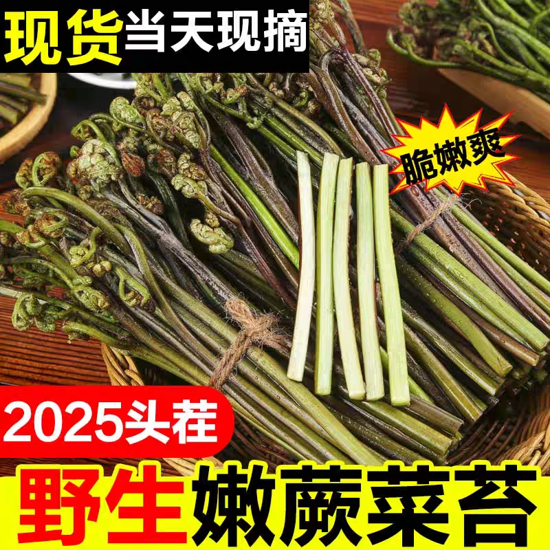 湖南衡阳耒阳野生蕨菜现摘现发