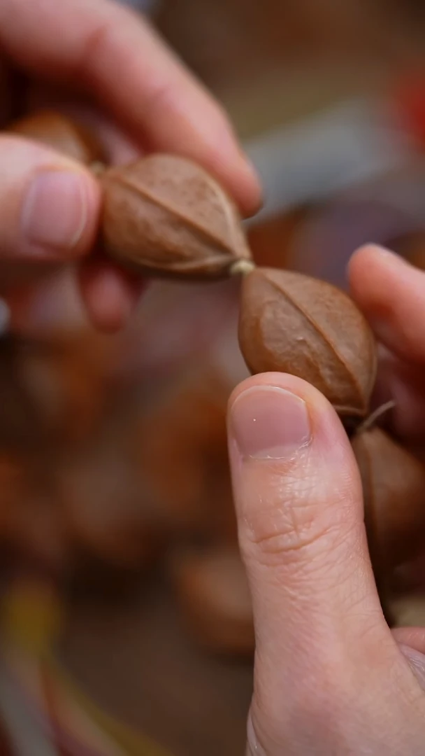 橄榄核手串/手链梅林铁核 素串 21*30 9籽