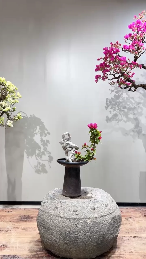 【闪购商品】盆景小桃红