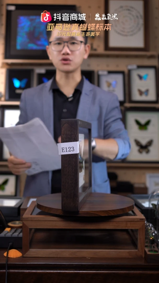 动物标本摆件挂画E123