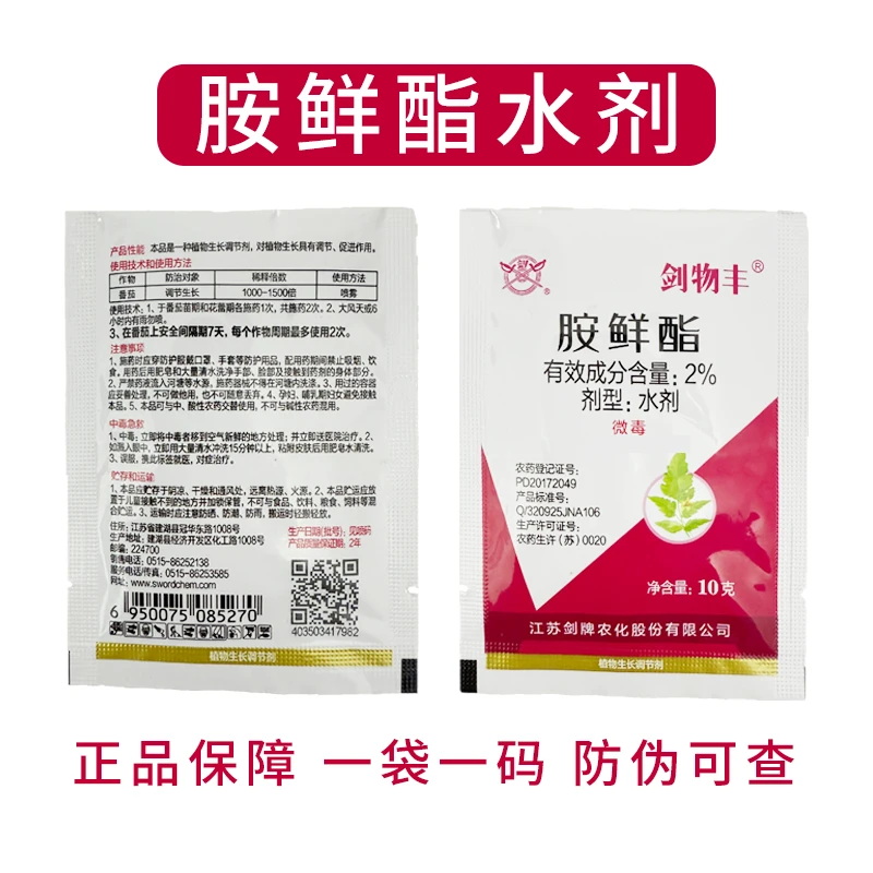 胺鲜酯植物生长调节剂抗寒防冻调节生长提高光合作用促进花芽分化
