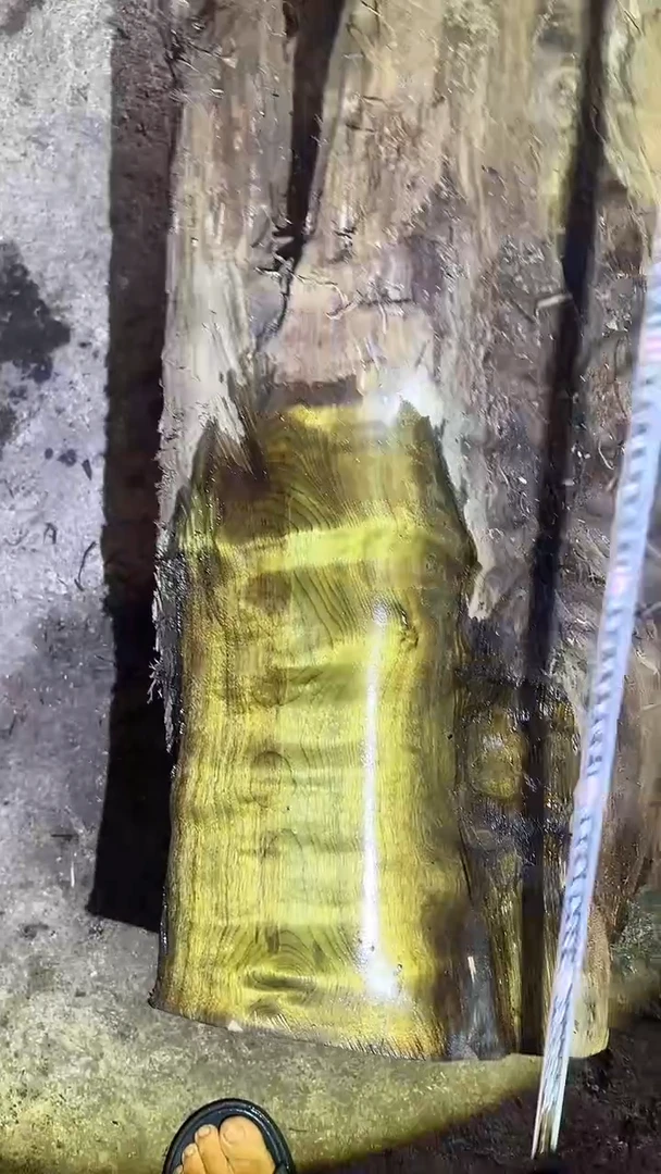 金丝楠阴沉木一物一拍以实物为准