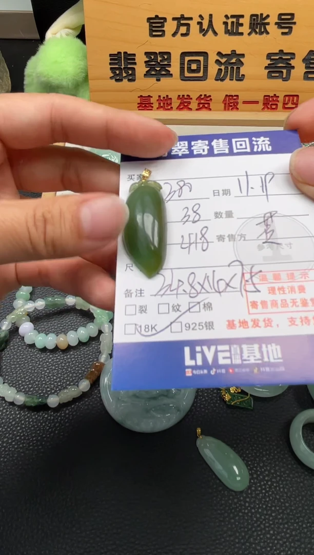 颈饰18K金镶嵌翡翠10150857