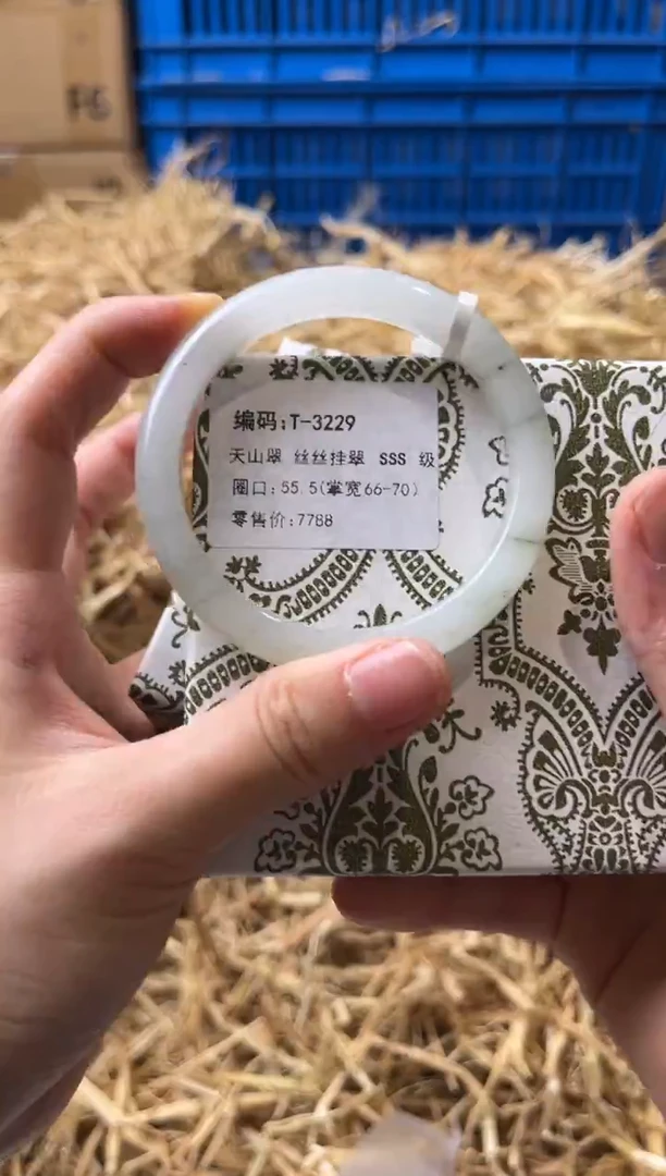 未镶嵌手镯石英质玉T-3229