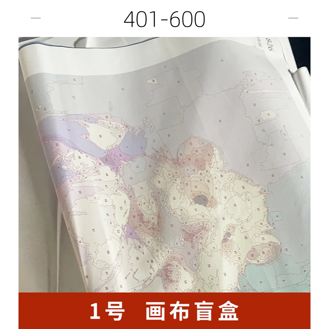 直播（酒后糊力画布中尺寸9401-9600）diy数字油画