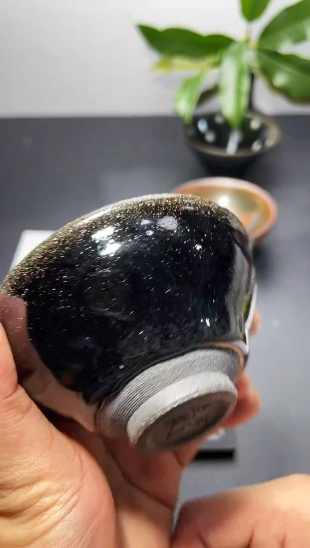 茶盏303叶紫建盏