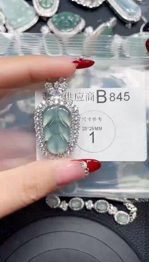 【闪购商品】翡翠颈饰未镶嵌赠皮绳845