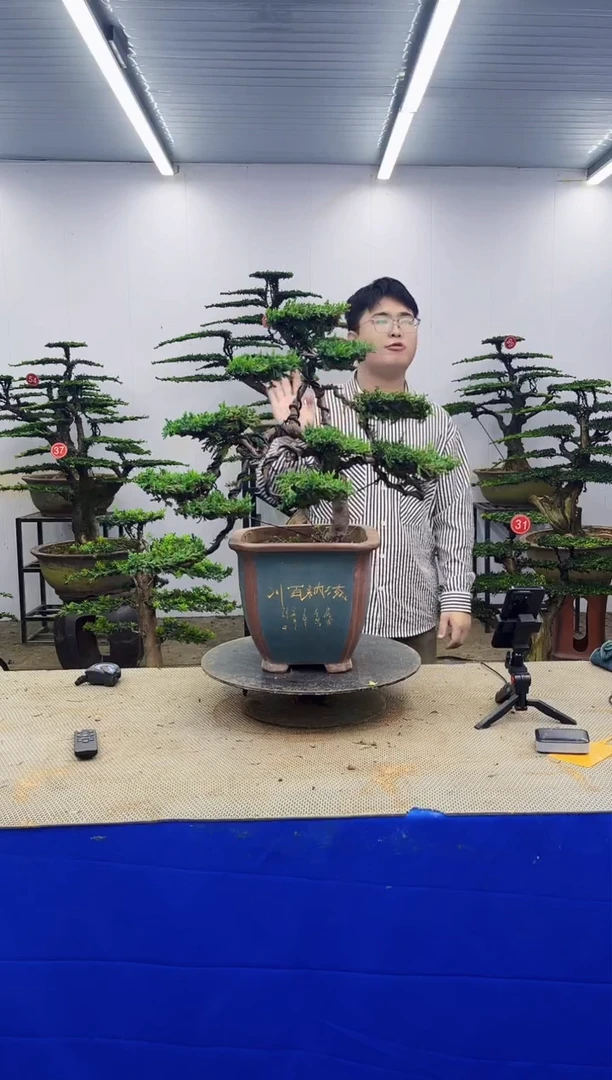 无花朵一物一拍，所见即所得
