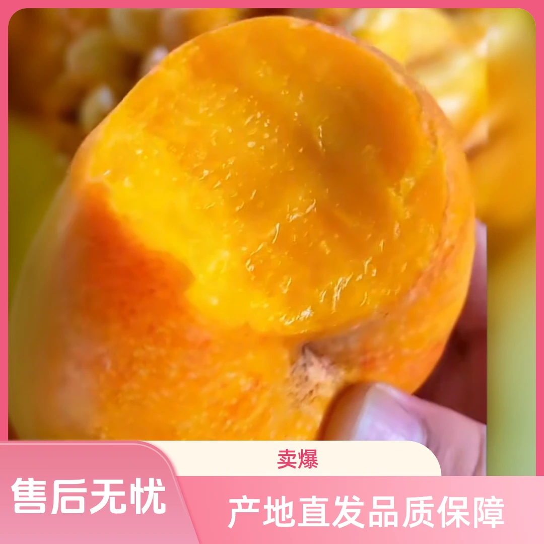 顺丰包邮山东蒙阴蜜桃油蟠桃现摘现发脆甜多汁桃子产地直发