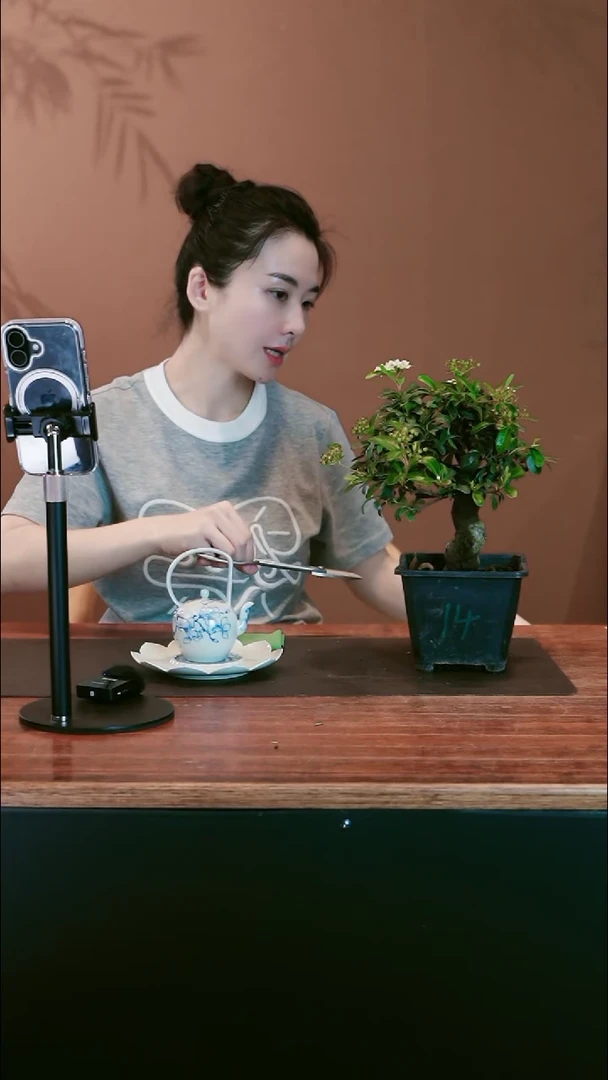 火棘盆景盆景盆景