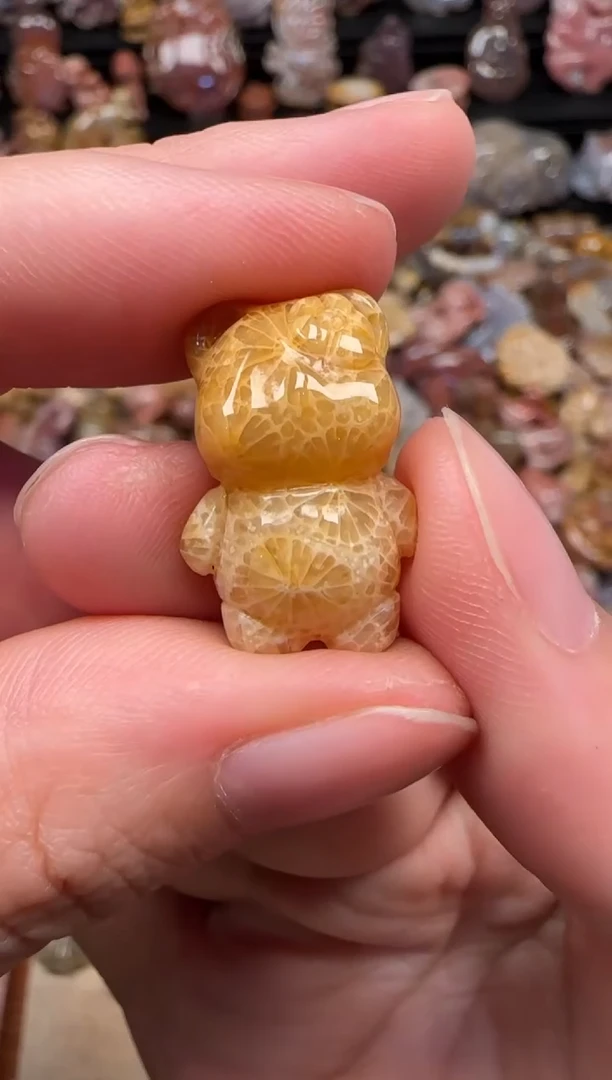 颈饰未镶嵌硅化珊瑚（珊瑚玉）146