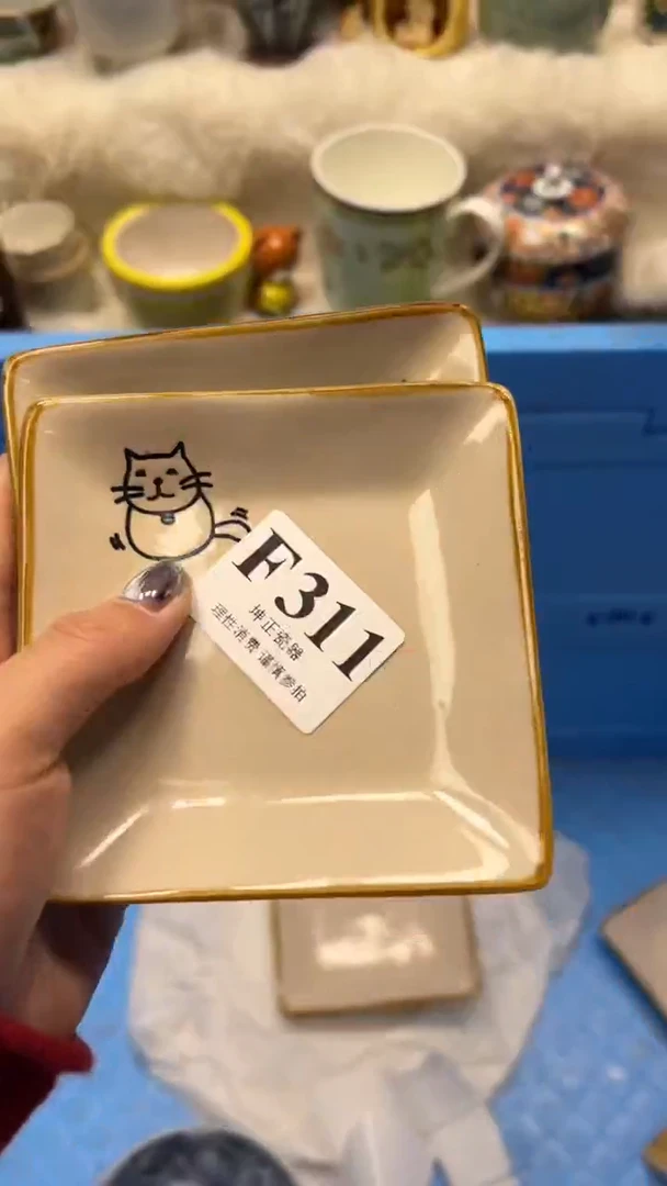 【闪购商品】瓷片          F311