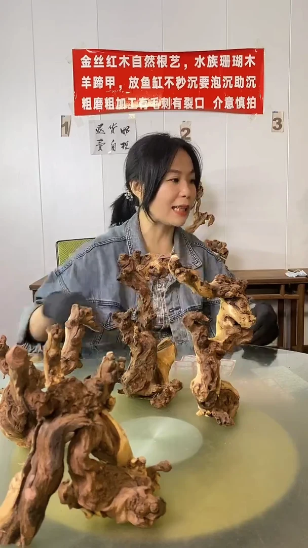 木你***醉金丝红木 羊蹄甲3