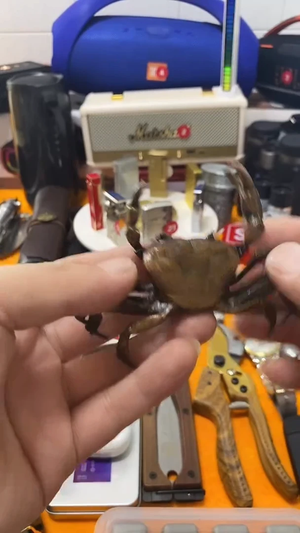 闪购商品 如图所示