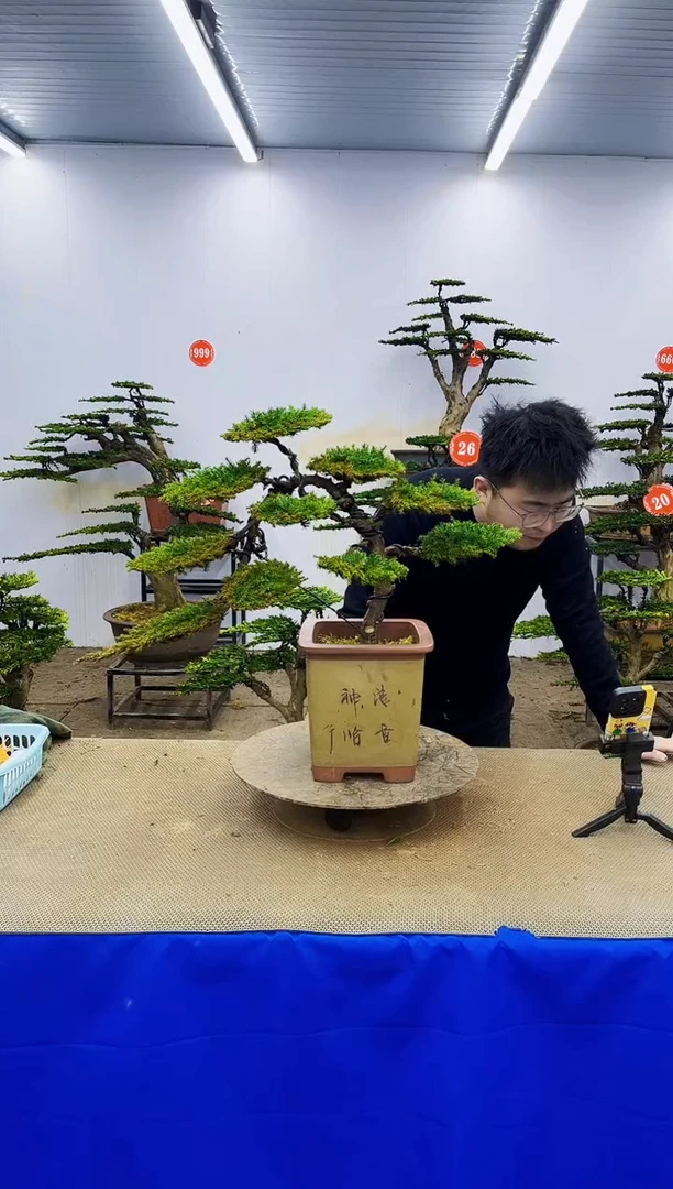 完全开放一物一拍，所见即所得