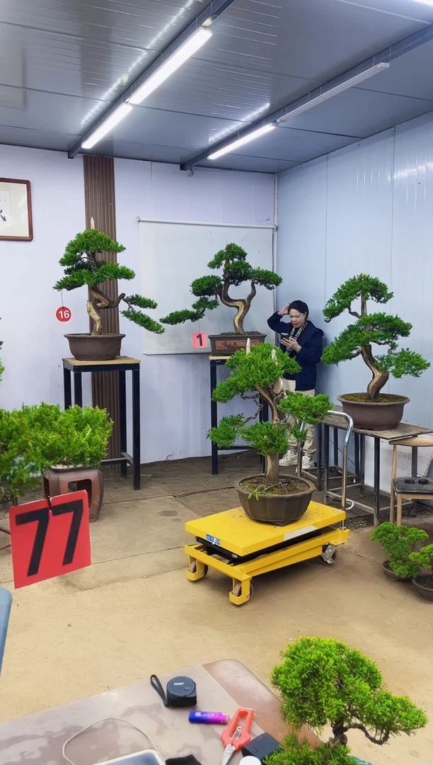 无花朵庄****挡11111111