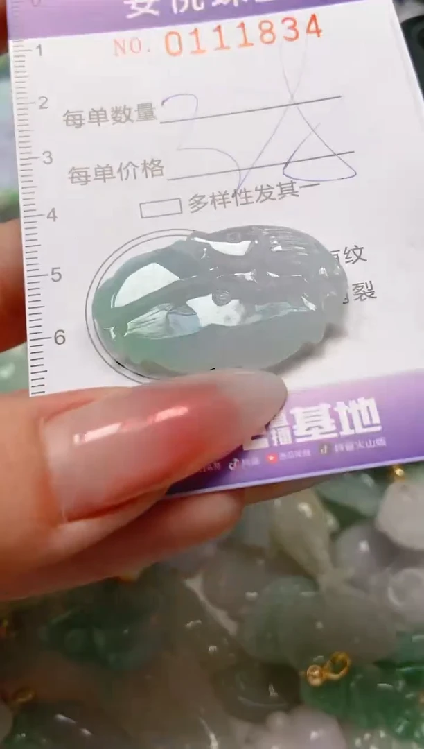 【闪购商品】翡翠颈饰未镶嵌闪购0111834