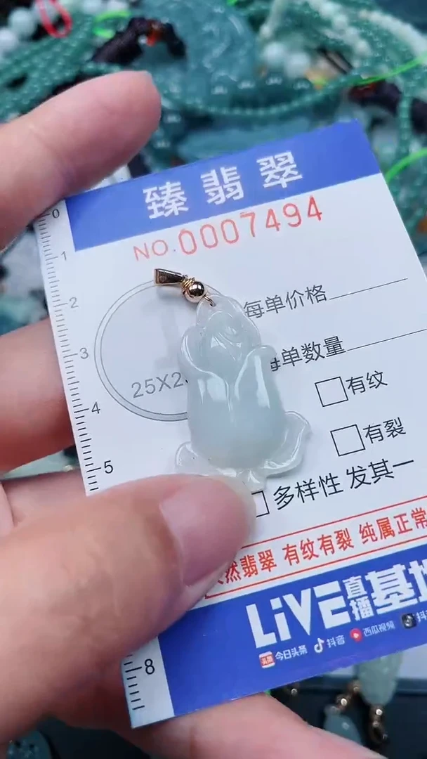 颈饰未镶嵌翡翠.0007494