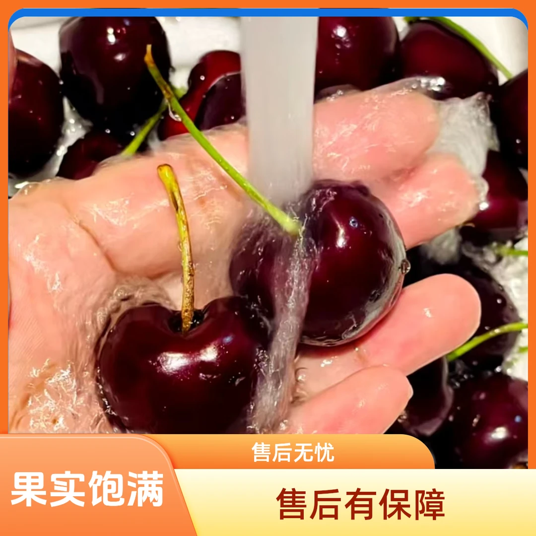 【五斤原箱】智利海运新鲜车厘子2JD-4JD包邮内附果径卡（YJ1)