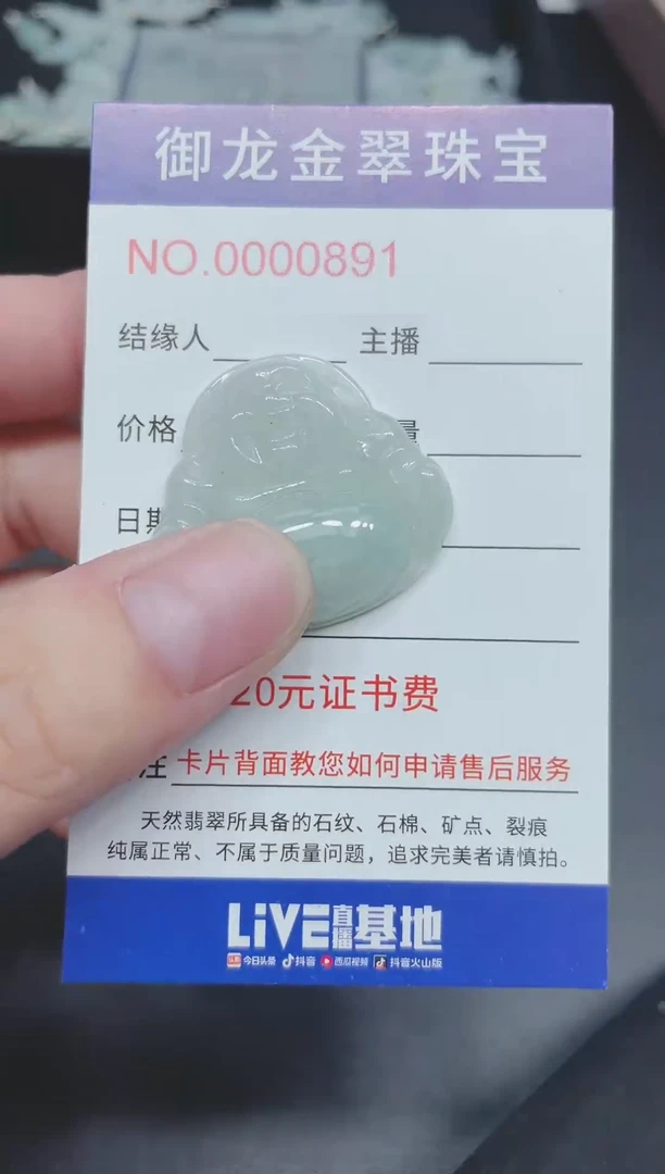 翡翠未镶嵌颈饰025