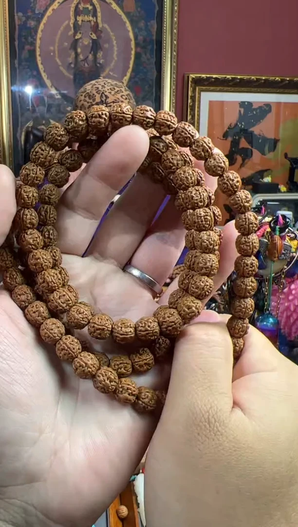 手串金刚菩提51号  金刚菩提原桩一代龙长串套装ylp9.5+mm