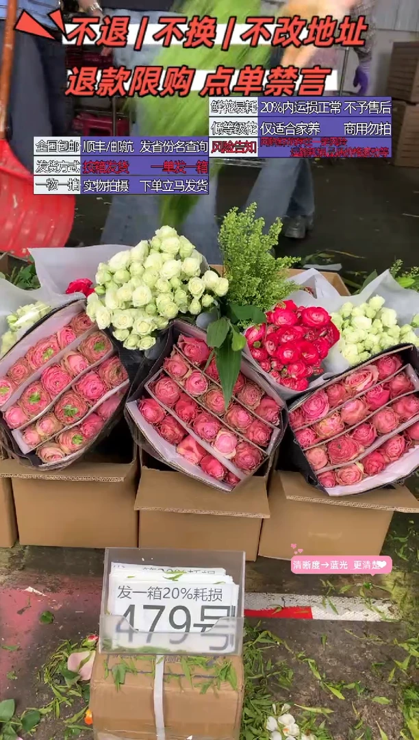 479号♥含20%耗损发一箱