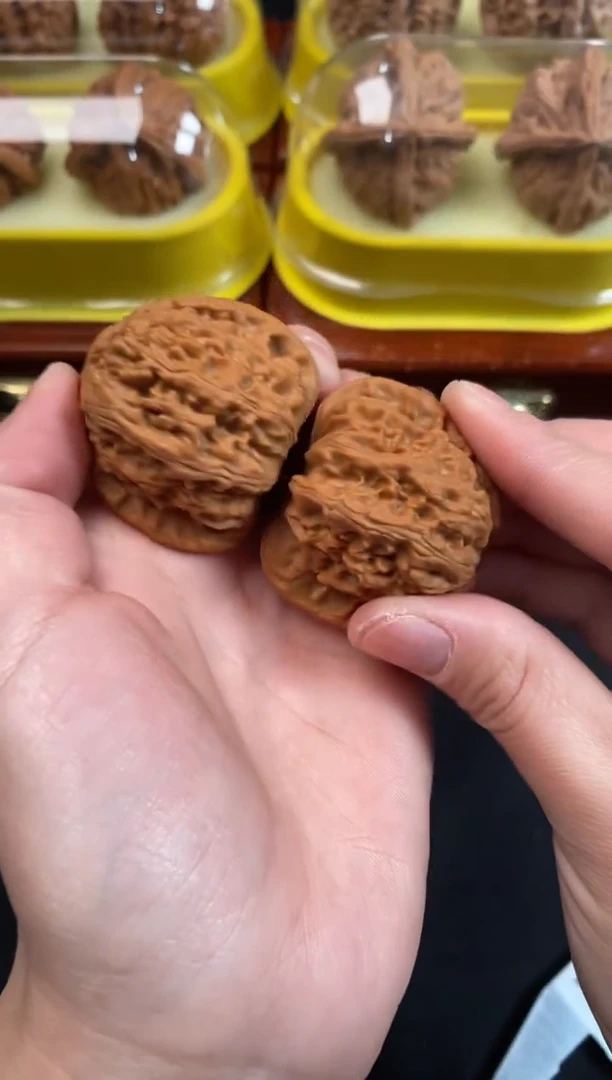 把件文玩核桃白狮子40尺A688