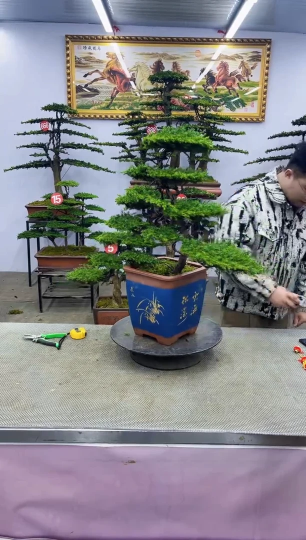 【闪购商品】啊啊啊啊