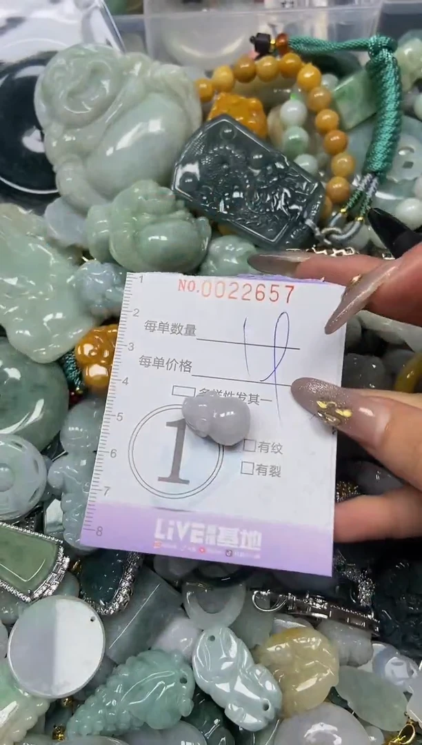 【闪购商品】翡翠颈饰未镶嵌闪购0022657