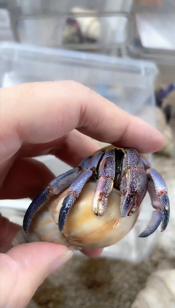 哈哈哈哈哈哈哈哈