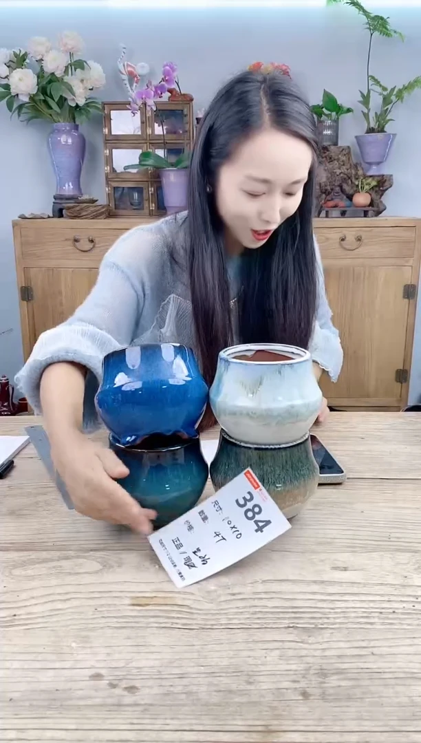 玩子花盆编号384