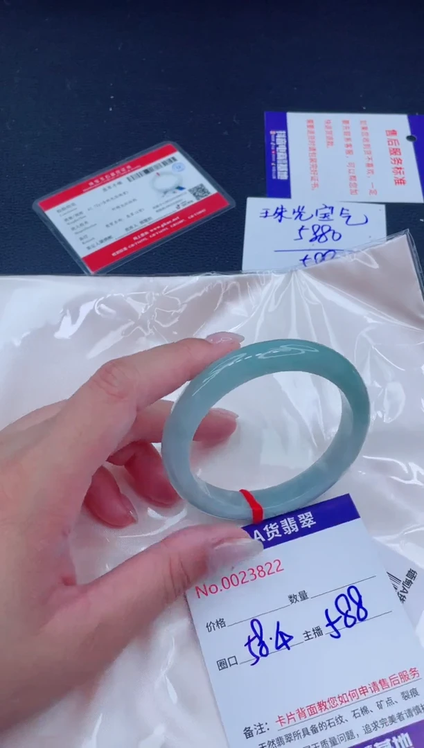 未镶嵌手镯翡翠588