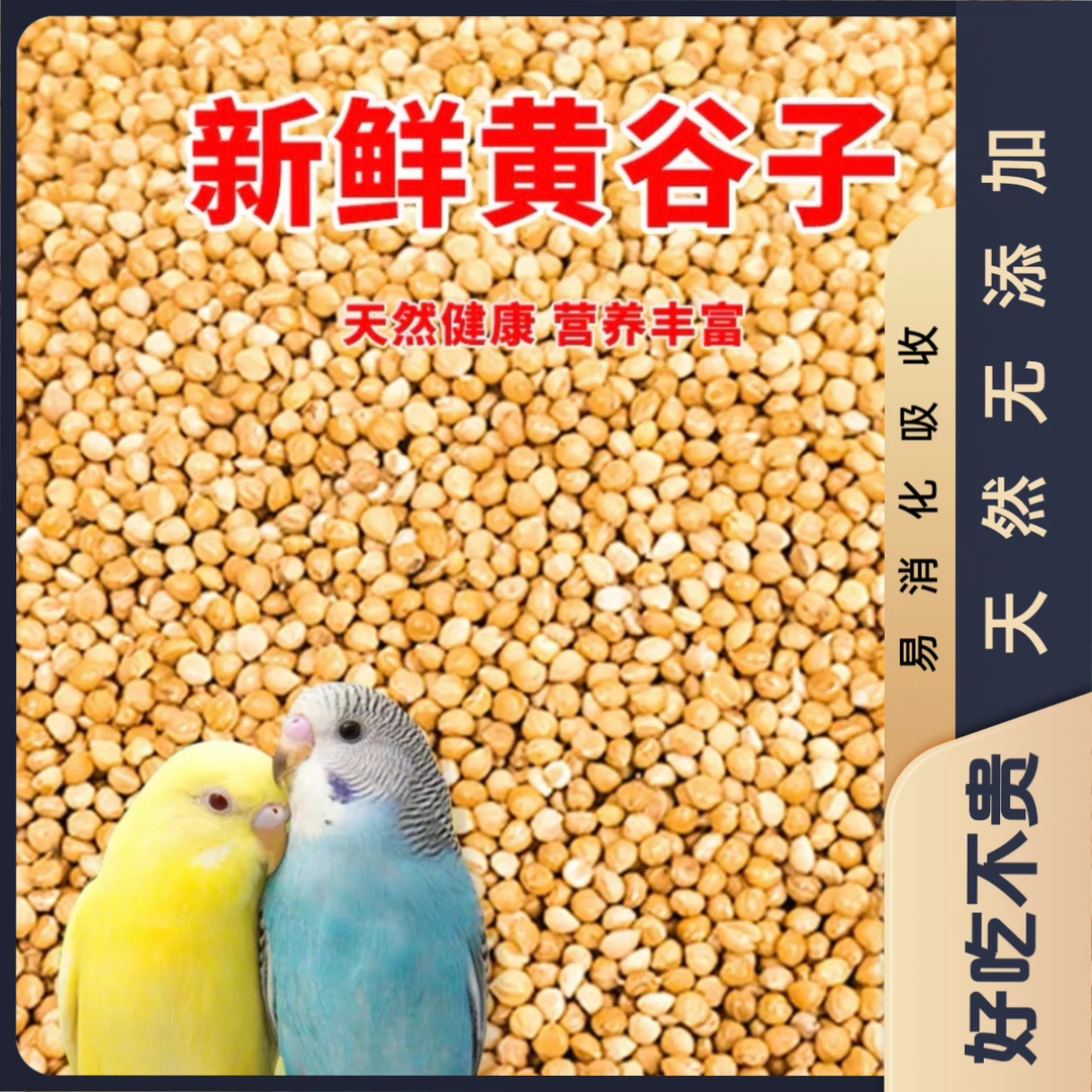 优质带壳黄谷子鸟粮虎皮鹦鹉玄凤牡丹中小型鸟专用饲料