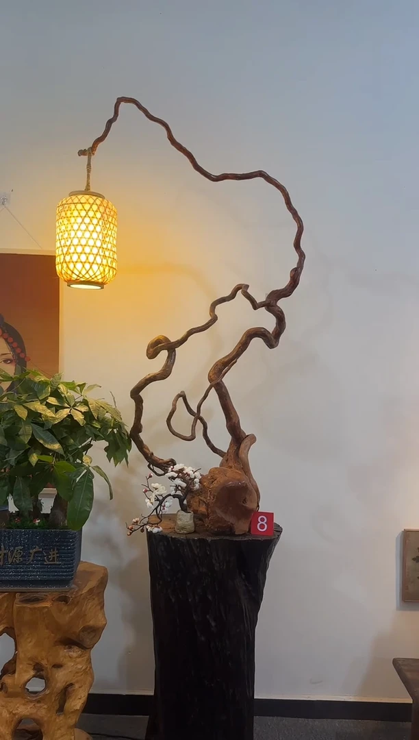 木木头款?****°精品杜鹃根禅意台灯+小花篮