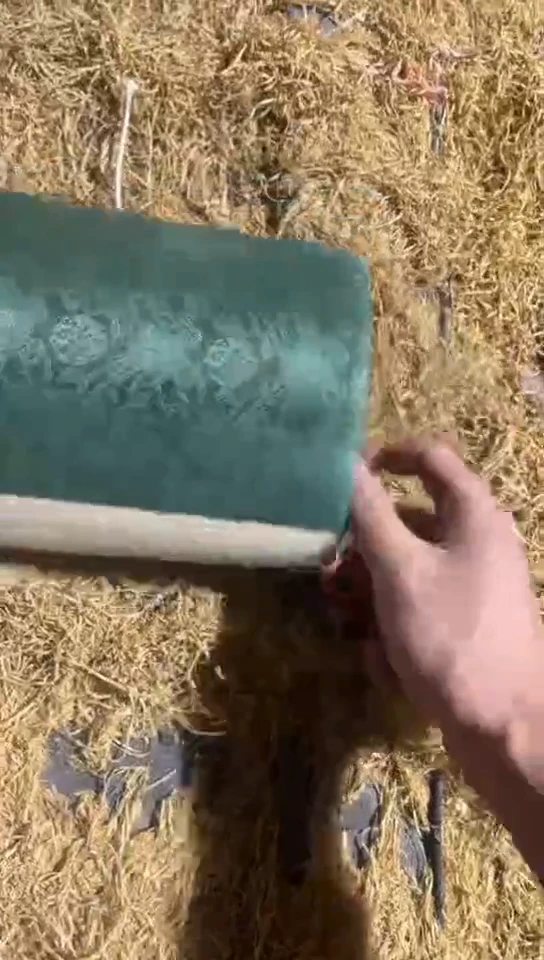 香榧木（1个小卷卷0