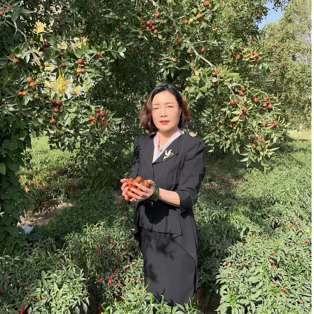 【鲜枣】正宗甘肃临泽小枣鲜枣新鲜采摘脆甜爽口自然成熟